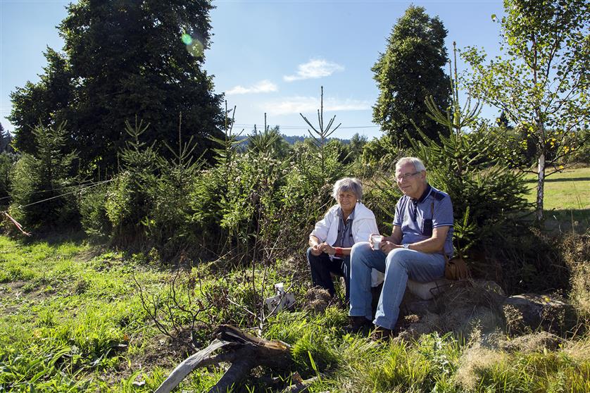 Les | Hurá na Výlet