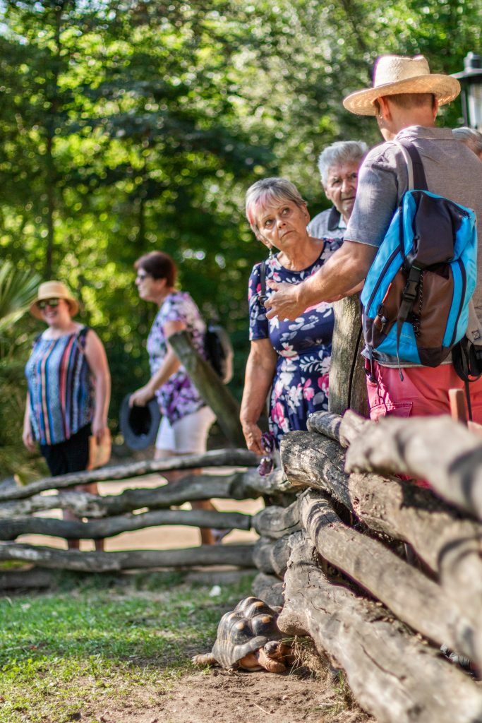 17.8.2024 Dvur Kralove Nad Labem 21 | Hurá na Výlet