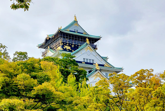 Mini Dlazdice Japonsko | Hurá na Výlet